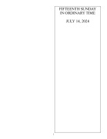 15th Sunday in Ordinary Time 2024